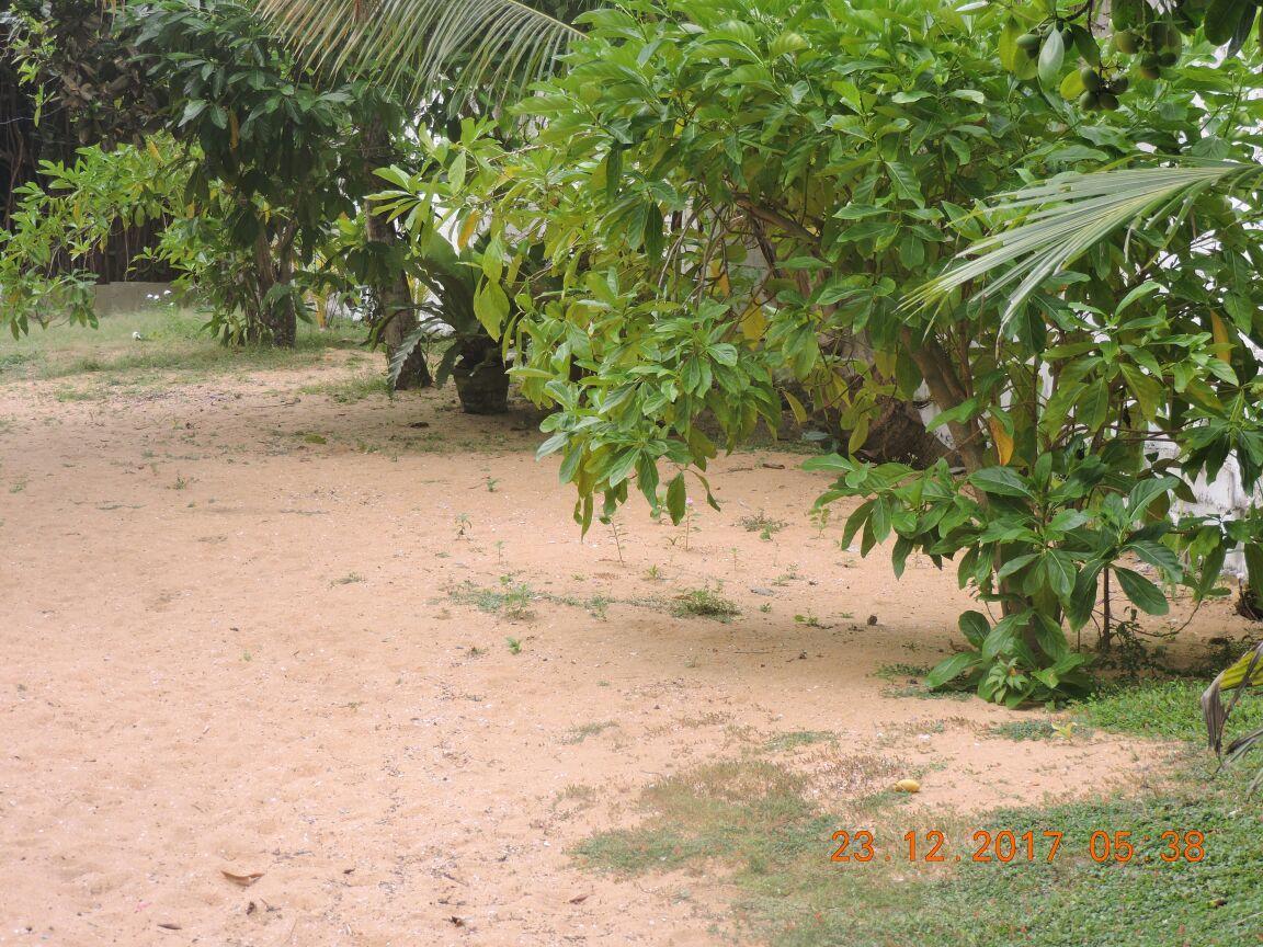 Akain Villa Dodanduwa Exterior foto